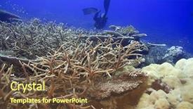  Presentation with divers - Slide deck consisting of schols - underwater landscape with divers maldives background and a  colored foreground