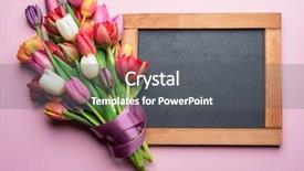  Presentation with school anniversary - Colorful slides enhanced with school anniversary - colorful bouquet of tulips backdrop and a gray colored foreground