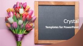  Presentation with school anniversary - Slide deck with school anniversary - colorful bouquet of tulips background and a gray colored foreground