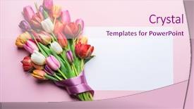  Presentation with school anniversary - Amazing presentation theme having school anniversary - colorful bouquet of tulips backdrop and a pink colored foreground
