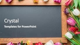  Presentation with school anniversary - Audience pleasing slide deck consisting of school anniversary - colorful tulips arranged as frame backdrop and a gray colored foreground