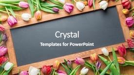  Presentation with tulips - Colorful presentation enhanced with school anniversary - colorful tulips arranged as frame backdrop and a gray colored foreground