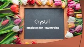  Presentation with colorful first birthday frame - Audience pleasing slides consisting of school anniversary - colorful tulips arranged as frame backdrop and a gray colored foreground