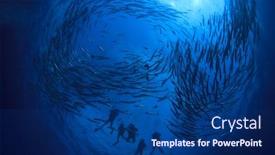  Presentation with divers - Amazing presentation design having school barracuda fish and scuba divers backdrop and a ocean colored foreground