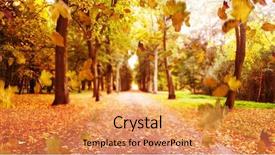  Presentation with beauty beautiful autumn in japanese - Slides consisting of school border - beautiful autumn background background and a coral colored foreground