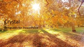  Presentation with autumn - Colorful slides enhanced with school border - beautiful autumn background backdrop and a gold colored foreground