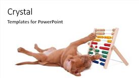  Presentation with e learning - Audience pleasing slides consisting of light plastic shutter on a window apartment backdrop and a white colored foreground