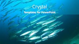  Presentation with school - Presentation theme featuring school-chevron-barracuda-fish background and a teal colored foreground