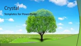  Presentation with meadow - Colorful slides enhanced with school land - book of nature with tree backdrop and a teal colored foreground