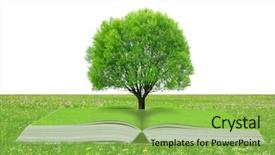  Presentation with meadow - Cool new presentation theme with school land - book of nature with tree backdrop and a yellow colored foreground