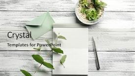  Presentation with succulents - PPT theme consisting of school logo - blank notepad and succulents background and a light gray colored foreground