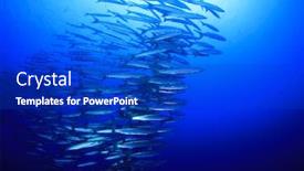  Presentation with fish ocean - Slide set enhanced with leaves of the ginkgo tree and maple in fall background and a coral colored foreground