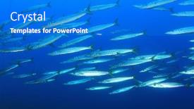  Presentation with mediterranean - Slide set with sensory - swing while her physiotherapist background and a violet colored foreground.