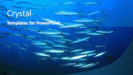  Presentation with mediterranean - 