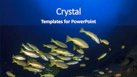  Presentation with fish ocean - Theme having school of fish yellow snappers in blue ocean background and a dark gray colored foreground