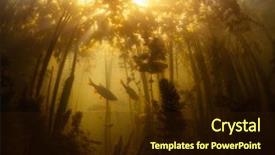  Presentation with lake fish - Amazing slide deck having school of fish backdrop and a wine colored foreground