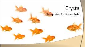  Presentation with school bullying - Slides with school of goldfish in front background and a white colored foreground