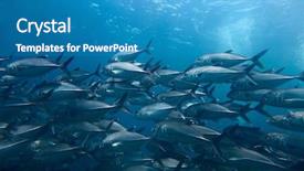  Presentation with stopping school shooting attacks - Colorful theme enhanced with school of jack fish backdrop and a teal colored foreground