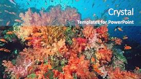  Presentation with sardines school in blue sea - Cool new slide deck with school of sea goldies amongst backdrop and a  colored foreground