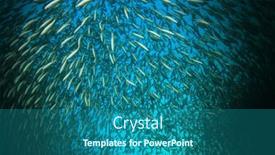  Presentation with fish ocean - 