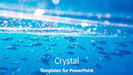 Presentation with swimming - Amazing slide deck having school-of-swimming-and-feeding backdrop and a teal colored foreground