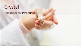  Presentation with laboratory mouse - Beautiful slides featuring school teaching hold little mouse backdrop and a lemonade colored foreground