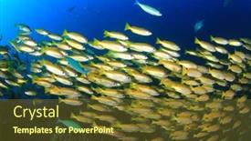  Presentation with school - Beautiful PPT theme featuring school-yellow-fish-bigeye-snappers backdrop and a tawny brown colored foreground