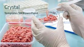  Presentation with food science - Presentation enhanced with science - food quality control expert inspecting background and a sky blue colored foreground