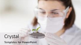  Presentation with soil biology - Theme having science biology ecology research background and a light gray colored foreground