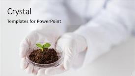  Presentation with soil biology - Slide set consisting of science biology ecology research background and a sky blue colored foreground