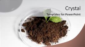  Presentation with soil science - Slides having science biology ecology research background and a light gray colored foreground