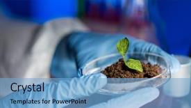  Presentation with soil biology - Slide deck consisting of science biology ecology research background and a light blue colored foreground