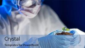  Presentation with soil biology - PPT layouts having science biology ecology research background and a  colored foreground