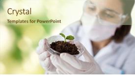  Presentation with green science - Slide deck enhanced with science biology ecology research background and a soft green colored foreground