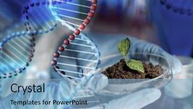  Presentation with plant structure - PPT theme with science biology ecology research background and a light blue colored foreground