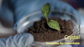  Presentation with soil science - Beautiful presentation theme featuring science biology ecology research backdrop and a tawny brown colored foreground