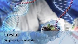  Presentation with plant structure - Amazing theme having science biology ecology research backdrop and a light blue colored foreground