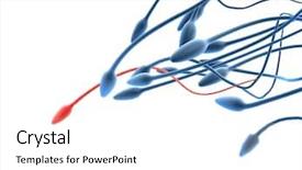  Presentation with strong - Cool new PPT theme with cell fibroblast - only the strong backdrop and a white colored foreground