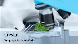  Presentation with green chemistry - Presentation featuring green leaf making research background and a light blue colored foreground