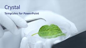  Presentation with green science - PPT theme consisting of science chemistry biology and people background and a sky blue colored foreground