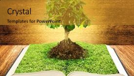  Presentation with growing tree - Audience pleasing presentation theme consisting of science collage - tree growing from a book backdrop and a gold colored foreground