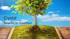  Presentation with growing tree - PPT theme with science collage - tree of knowledge growing background and a light blue colored foreground