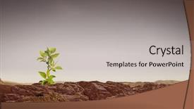  Presentation with life science - Cool new presentation theme with science eco - is there life on moon backdrop and a light gray colored foreground