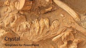  Presentation with fossil - Beautiful slide set featuring science geology - five million year old fossil backdrop and a gold colored foreground