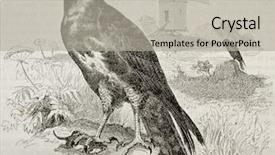  Presentation with paris - Slides featuring science la - old illustration of a buzzard background and a light gray colored foreground