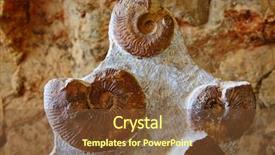  Presentation with ammonites - Slide set consisting of science mollusk - ammonites fossil in valencian community background and a tawny brown colored foreground