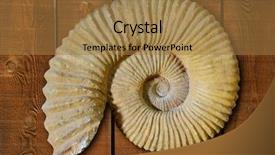  Presentation with ammonites - Colorful slide deck enhanced with science mollusk - ammonites fossil in valencian community backdrop and a coral colored foreground