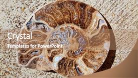  Presentation with ammonites - Colorful PPT theme enhanced with science mollusk - ammonites fossil snail cut found backdrop and a coral colored foreground