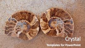  Presentation with ammonites - PPT layouts having science mollusk - ammonites fossil snail cut found background and a coral colored foreground
