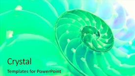  Presentation with colorful history diversity - PPT layouts consisting of science mollusk - colorful nautilus shell section background and a  colored foreground